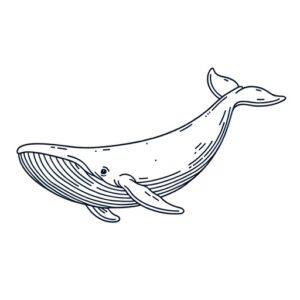Cute Animal Coloring Pages For Children
