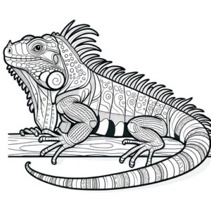 Cute Animal Coloring Pages For Children