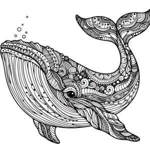 Zentangle Humpback Whale Coloring Page- 4 Free Printable Pages