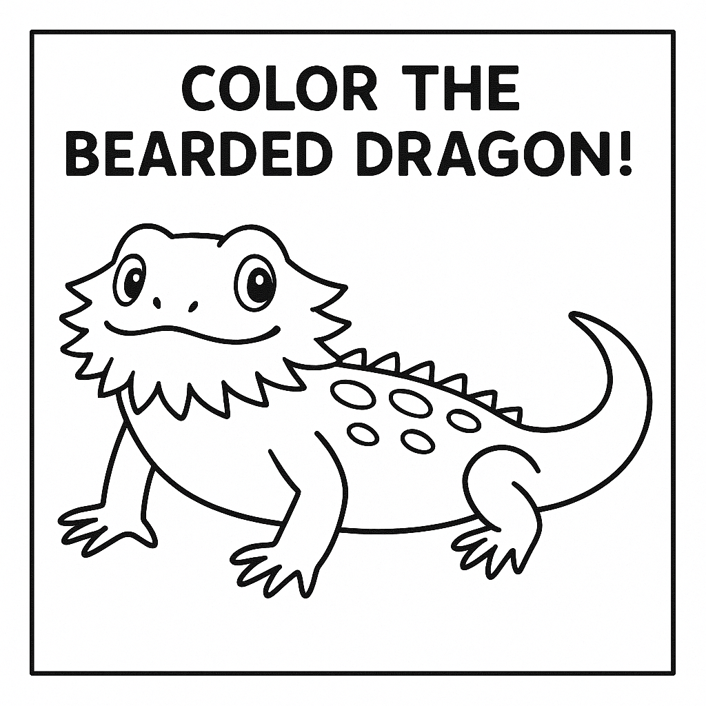 Bearded Dragon coloring page for pre school children